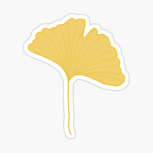 Ginkgo Leaf Sticker