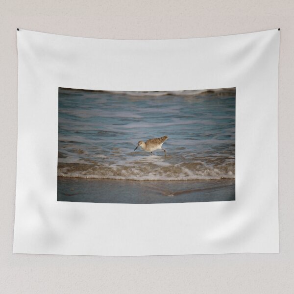 Item preview, Common Sandpiper designed and sold by Cynthia48.