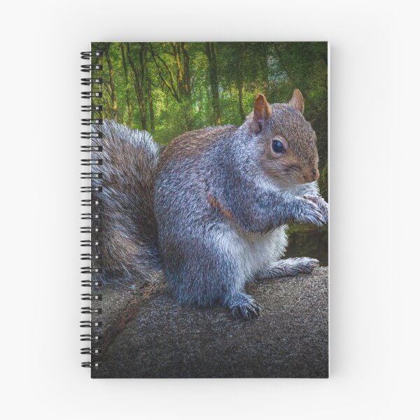 Item preview, Eastern grey or gray squirrel designed and sold by Leighton Collins.