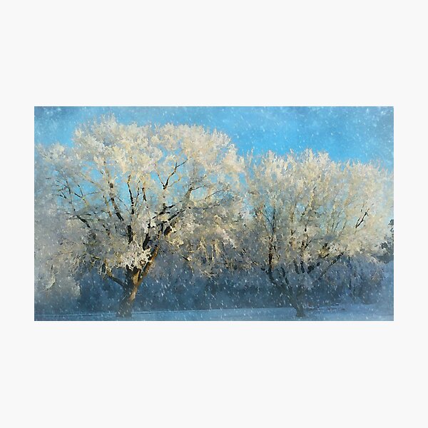 Item preview, Snowy Splendor designed and sold by Fancieplants.