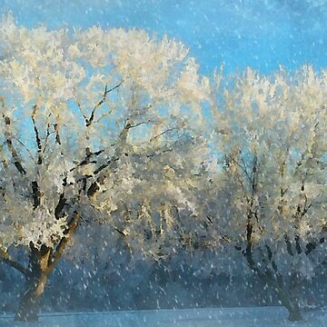 Artwork thumbnail, Snowy Splendor by Fancieplants