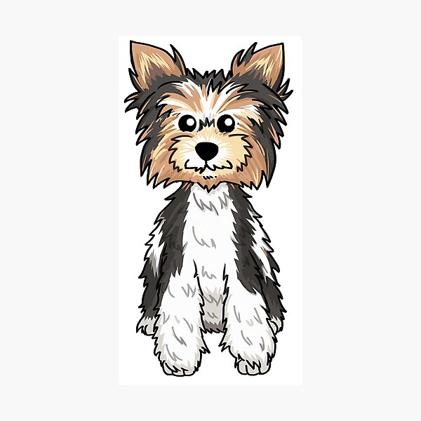 Puppy Cut Photographic Prints Redbubble