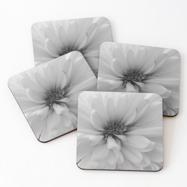Item preview, Chrysanthemum in Black & White designed and sold by Adrian Rowley.