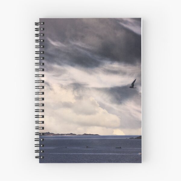 Item preview, The Tern and the Dolphins. designed and sold by Ken Simm.