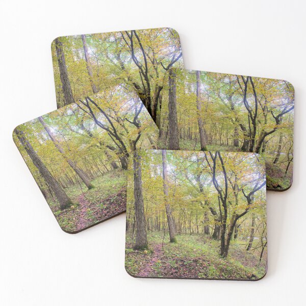 Item preview, Hickory Grove designed and sold by LynyrdSky.