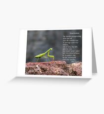 Soenbekkie Greeting Card