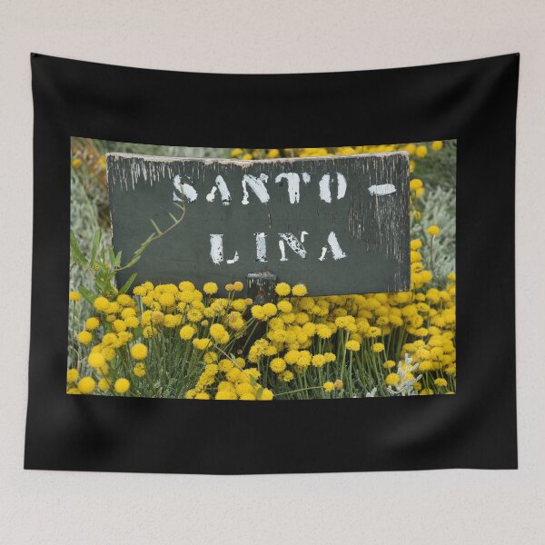 Aperçu de l'œuvre Santo Lina créée et vendue par photosbyalexis.