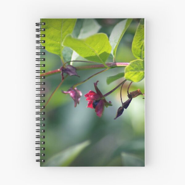 Item preview, honeysuckle, red flower, black berry designed and sold by Dawna Morton.