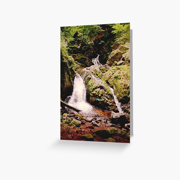 Deep in the woody hills of France Greeting Card