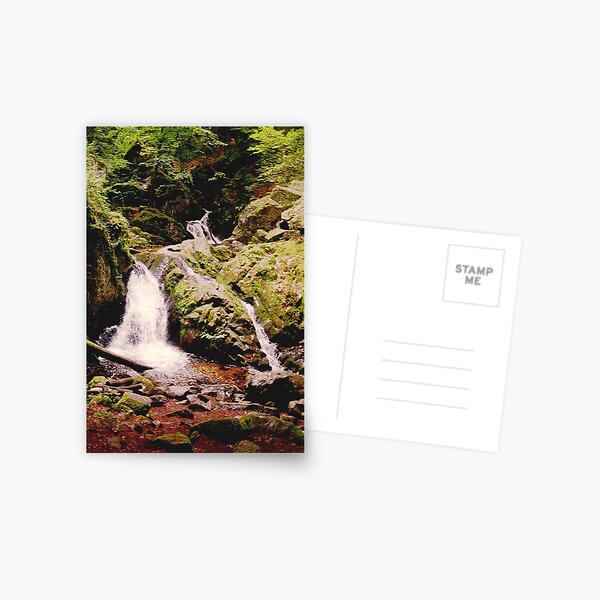 Deep in the woody hills of France Postcard