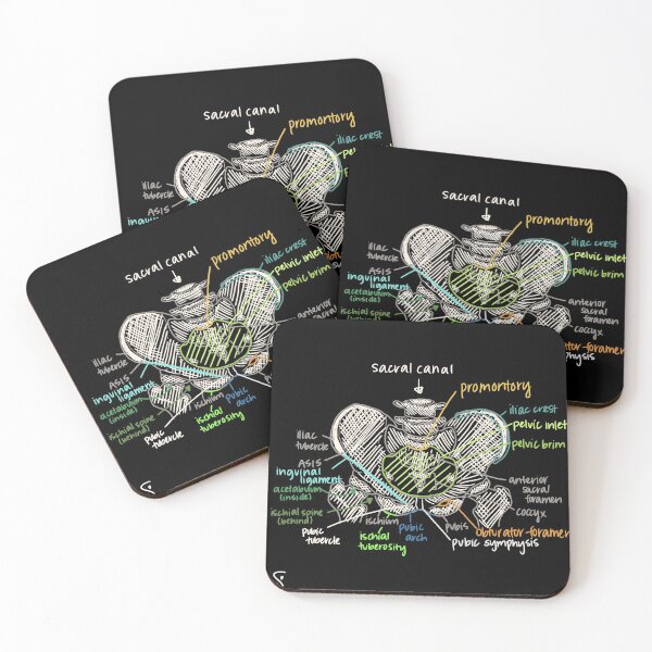 Item preview, Pelvis Anatomy designed and sold by Hodgepodge Bricolage.
