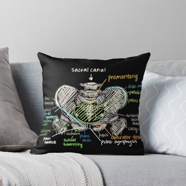 Item preview, Pelvis Anatomy designed and sold by Hodgepodge Bricolage.