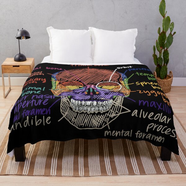 Item preview, Skull Anatomy from the front designed and sold by Hodgepodge Bricolage.