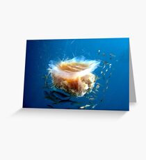 Lion's Mane Jellyfish and Friends Greeting Card