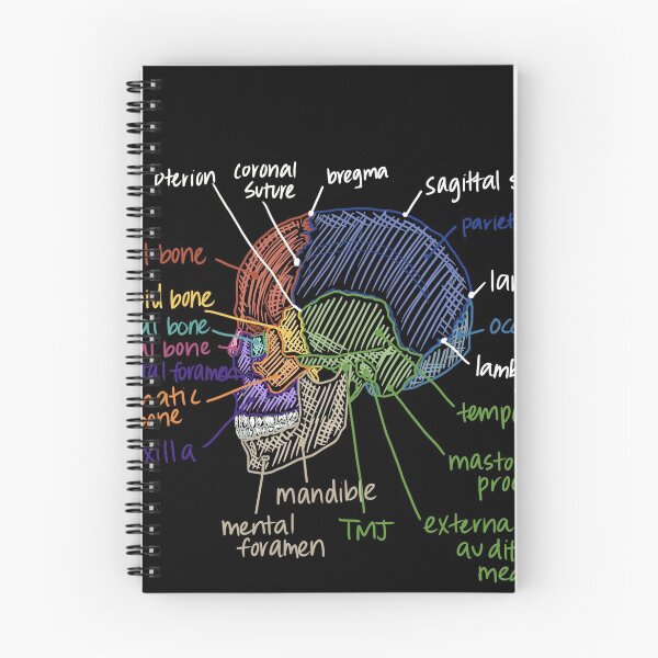 Item preview, Skull Anatomy from the side designed and sold by Hodgepodge Bricolage.