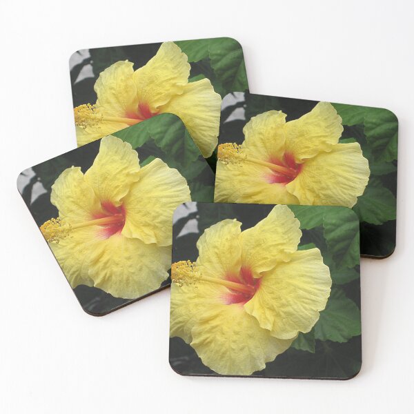 Item preview, Yellow Hibiscus designed and sold by Brenda Burnett.