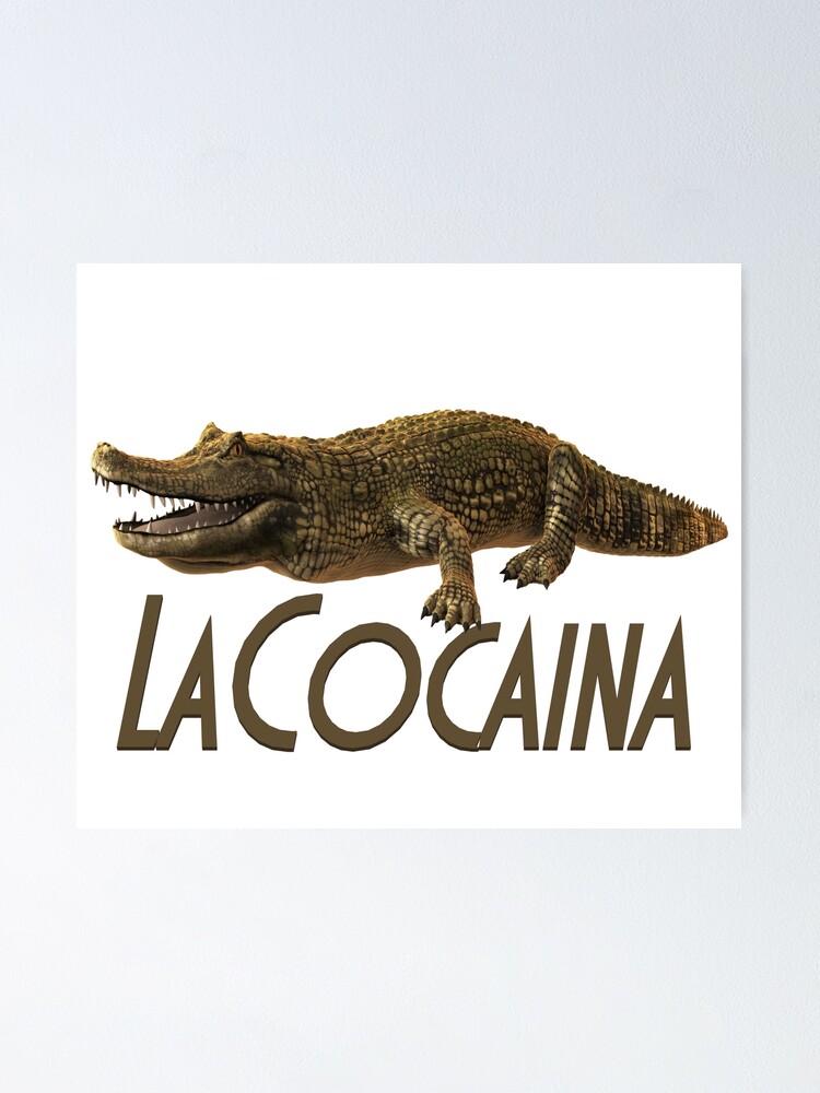 Póster «Rocky Montana - Lacocaina, cocodrilo, cocaína, drogas, fiesta,  anestesia, Colombia, coca» de Rocky-Montana | Redbubble