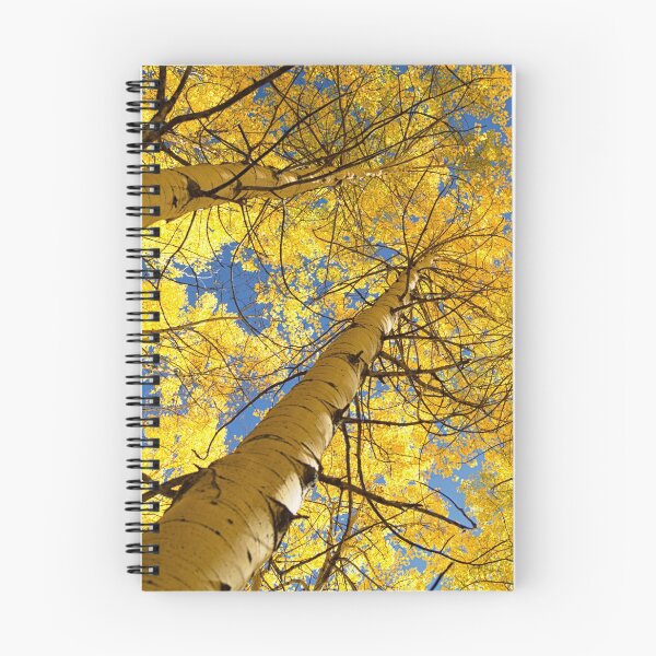 Item preview, Quaking Aspens designed and sold by mikewheels.