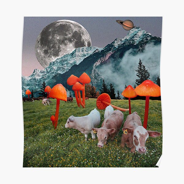 Cows and mushrooms Poster