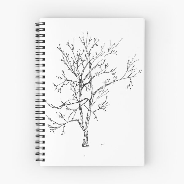 Item preview, Maple tree budding designed and sold by gijay.