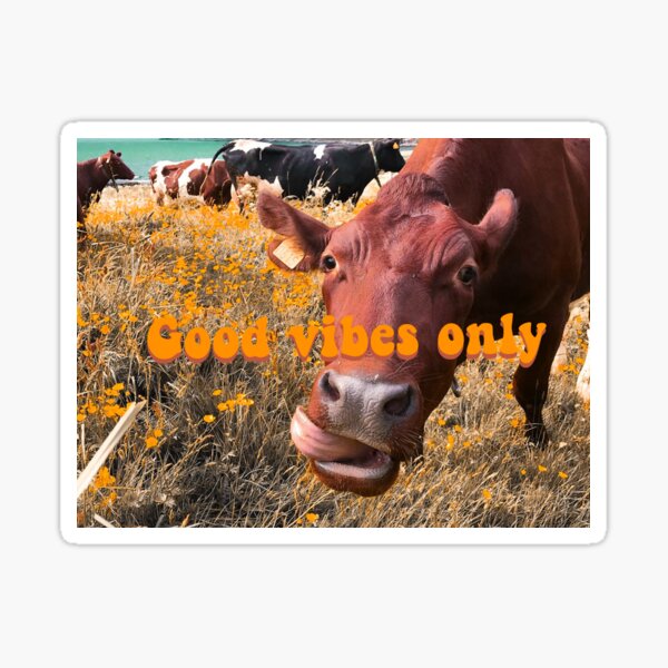 Item preview, Good vibes only cow designed and sold by Maisie Kane.