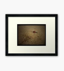 Desert Thirst & The Lonliness Framed Print
