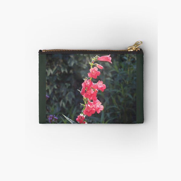 Artikelvorschau, Sonnenbeschiene rosa Penstemon-Blume entworfen und verkauft von Fiona Cross.