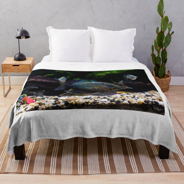 Item preview, Glossolepis wanamensis designed and sold by Derek Byrne.