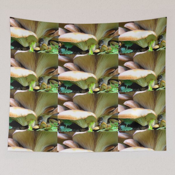 Item preview, My Shrooms  Are Here designed and sold by Diane Arndt.