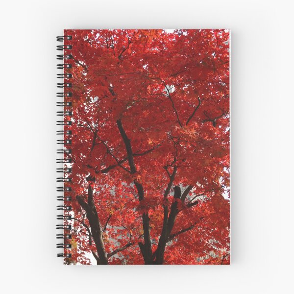 Item preview, Brilliant Fall Trees! designed and sold by ALifeSavored.
