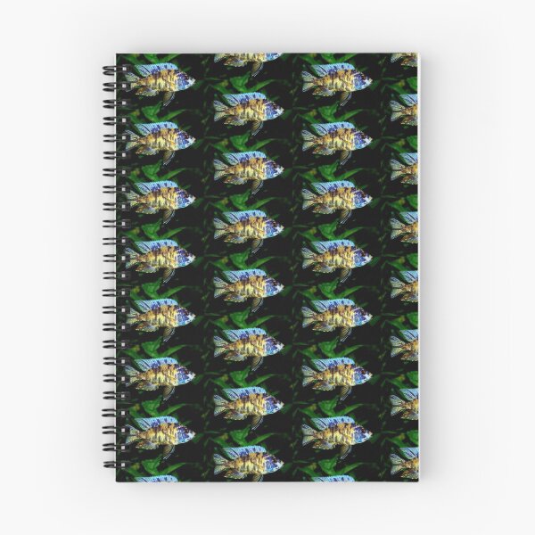 Item preview, AULONOCARA CICHLIDS designed and sold by ssduckman.