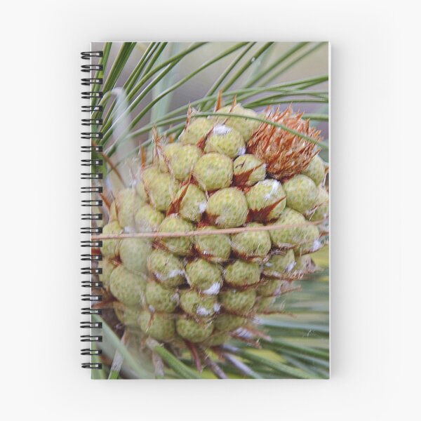 Item preview, Conifer designed and sold by Kerry LeBoutillier.