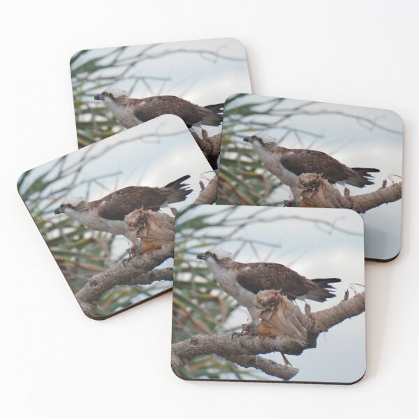 Item preview, SC ~ WO ~ RAPTOR ~ Eastern Osprey 82TVX4FF by David Irwin 131019 designed and sold by tasmanianartist.