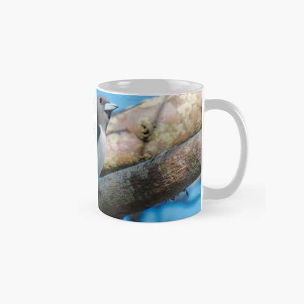 SC ~ WO ~ SWALLOW ~ White-breasted Woodswallow by David Irwin 131019 Classic Mug