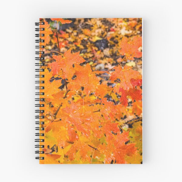 Item preview, Raindrops on Orange, Red, and Yellow Leaves designed and sold by Sue Smith.