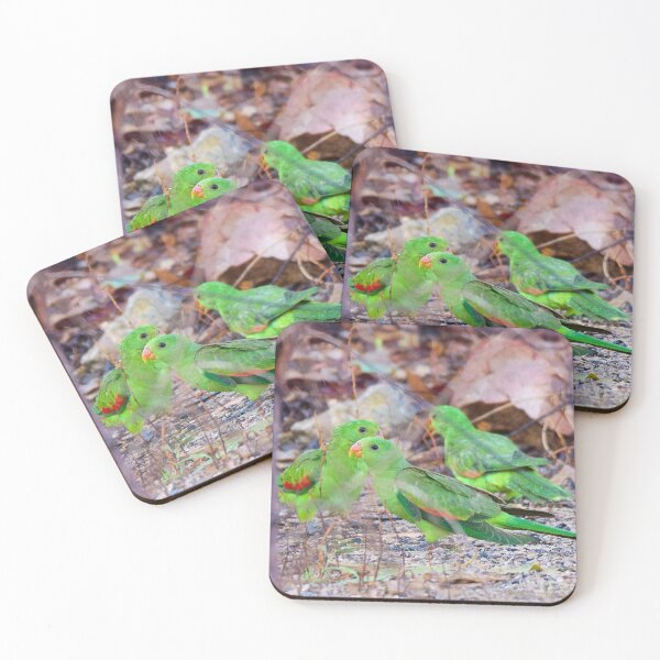 Item preview, NT ~ PARROT ~ Red-winged Parrot MTHKPTnL (juv) by David Irwin 131019 designed and sold by tasmanianartist.