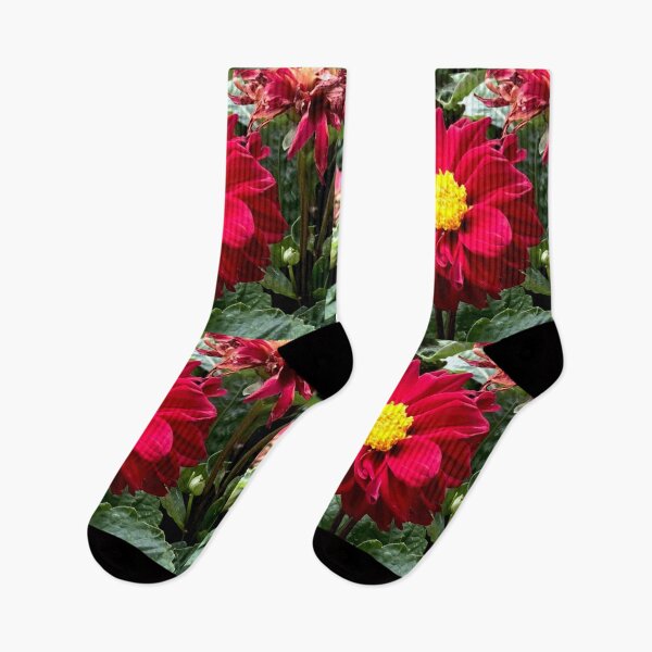 Item preview, Ruby Red - Delightful Dahlia  designed and sold by KazM.
