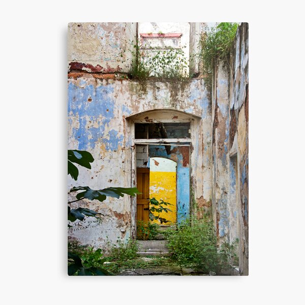 Beautiful Decay Metal Print