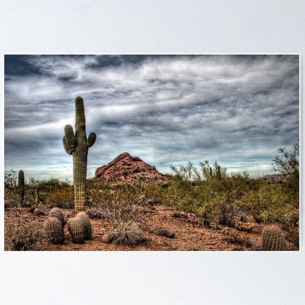 Artikelvorschau, Sonoran Desert  entworfen und verkauft von Saija  Lehtonen.
