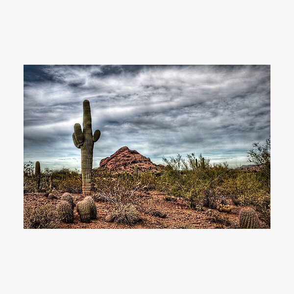 Artikelvorschau, Sonoran Desert  entworfen und verkauft von Saija  Lehtonen.
