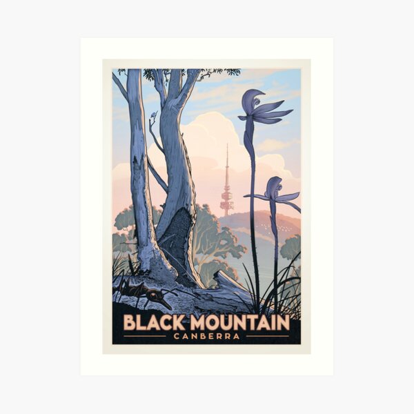 Black Mountain Nature Reserve (ants and orchids) Art Print