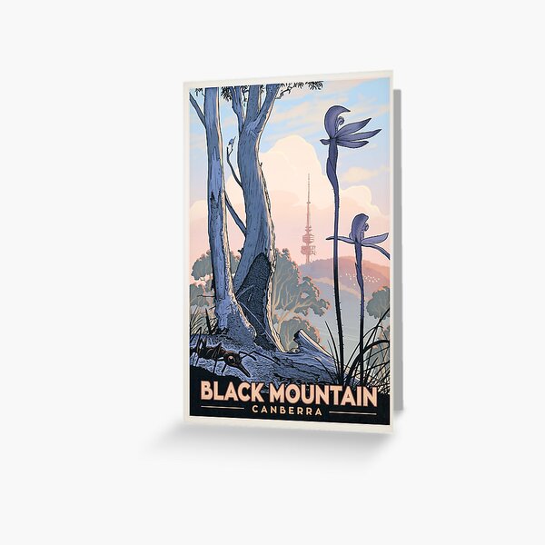 Black Mountain Nature Reserve (ants and orchids) Greeting Card