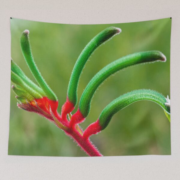 Item preview, 'Roo Paw designed and sold by metriognome.