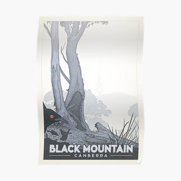 Black Mountain Nature Reserve (white-winged choughs) Poster