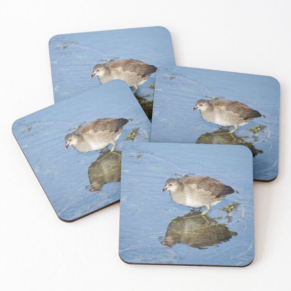 Item preview, Young Moorhen designed and sold by boux.