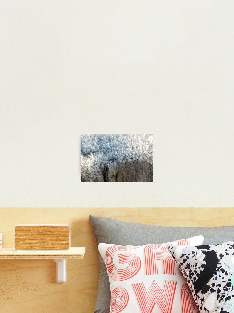 Thumbnail 2 of 3, Photographic Print, Fascinating ice crystals 3 designed and sold by steppeland.