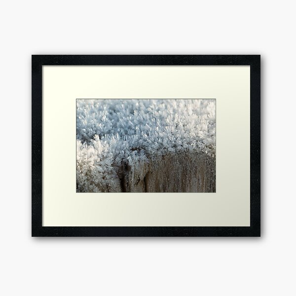 Framed Art Print
