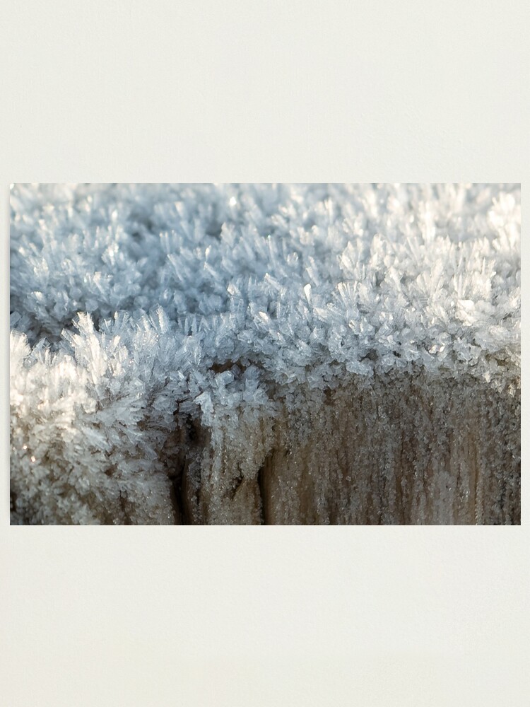 Thumbnail 1 of 3, Photographic Print, Fascinating ice crystals 3 designed and sold by steppeland.
