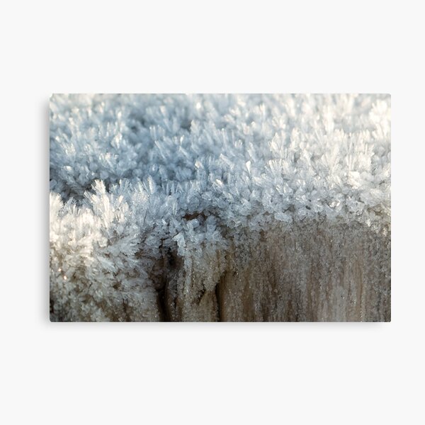 Fascinating ice crystals 3 Metal Print