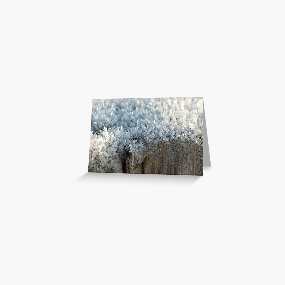 Item preview, Greeting Card designed and sold by steppeland.